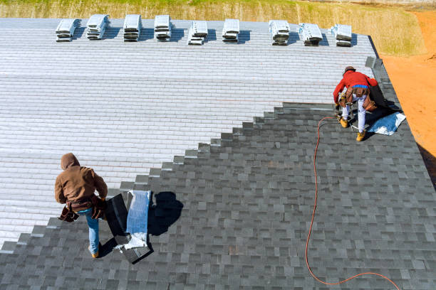 Best Roof Gutter Cleaning  in Lowesville, NC
